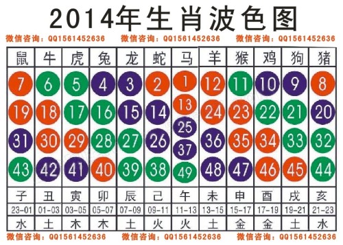 2025十二生肖49码表,精选资料解析大全