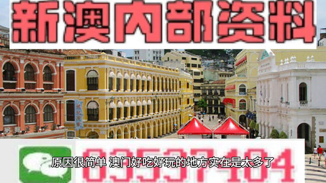新澳门精准龙门资料,新澳门精准龙门资料，探索与解析